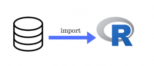 Importing database to R